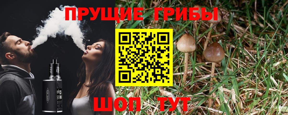 Псилоцибиновые грибы Cubensis  Вход с VPN  Скопин  Псилоцибиновые грибы Psilocybine cubensis 